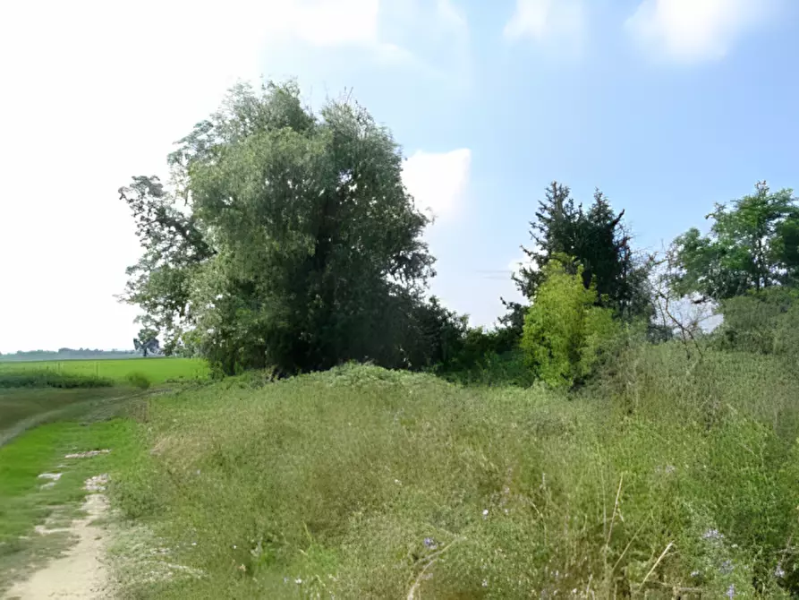 Immagine 18 di Appartamento in vendita  in Via Villa Biscossi, 21 a Galliavola