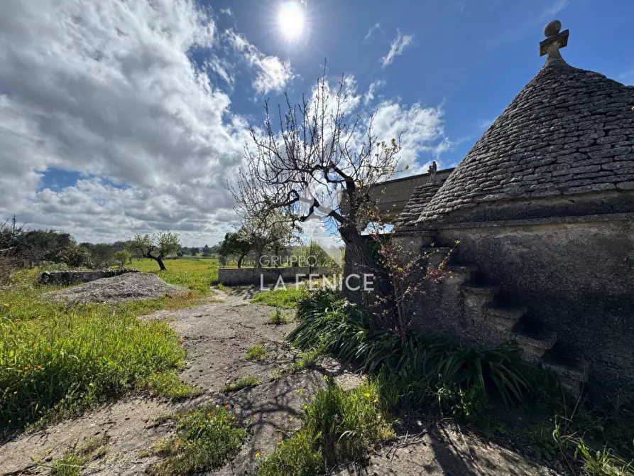 Immagine 3 di Rustico / casale in vendita  in strada casette del vento a Martina Franca