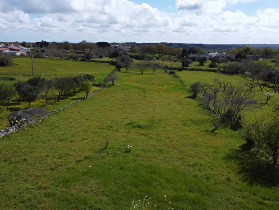 Immagine 8 di Rustico / casale in vendita  in strada casette del vento a Martina Franca