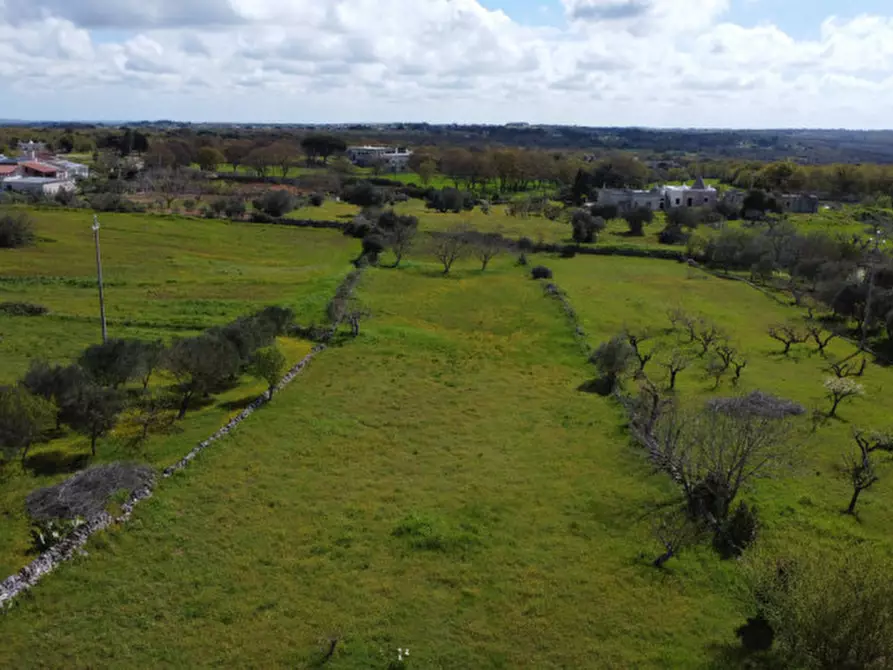 Immagine 9 di Rustico / casale in vendita  in strada casette del vento a Martina Franca