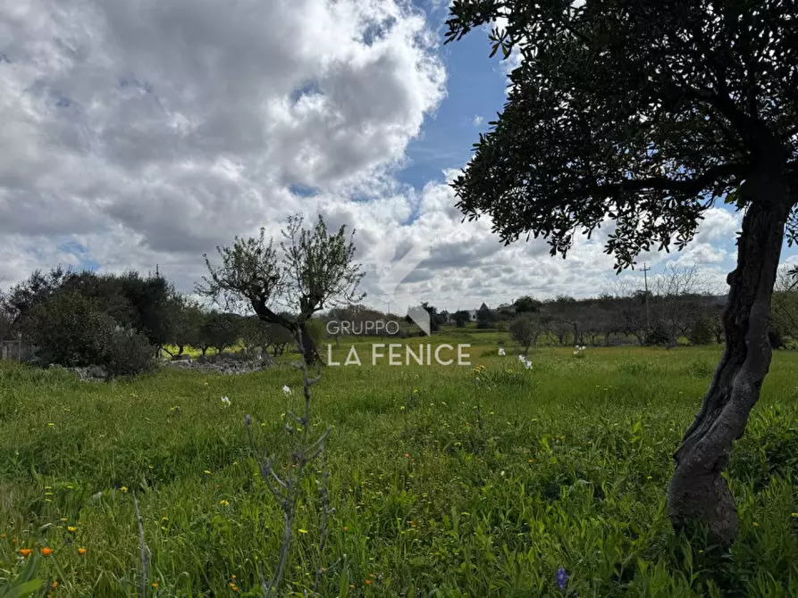 Immagine 26 di Rustico / casale in vendita  in strada casette del vento a Martina Franca