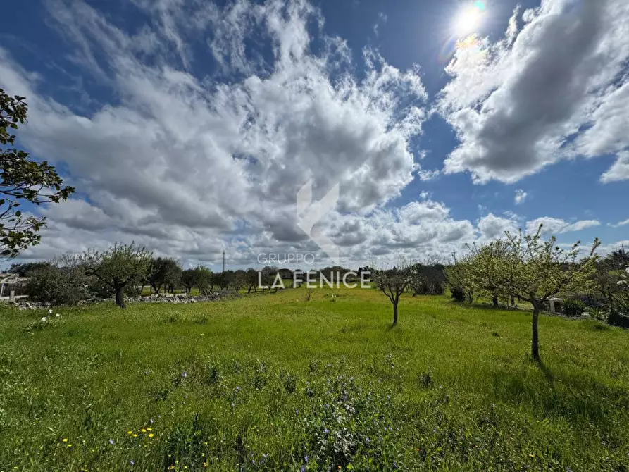 Immagine 27 di Rustico / casale in vendita  in strada casette del vento a Martina Franca