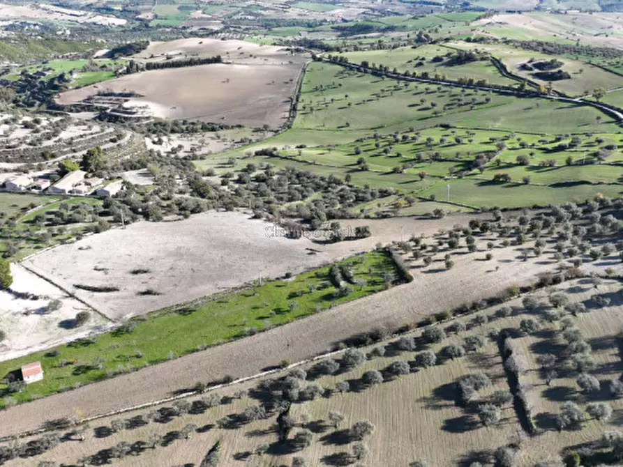 Immagine 2 di Terreno in vendita  a Ragusa