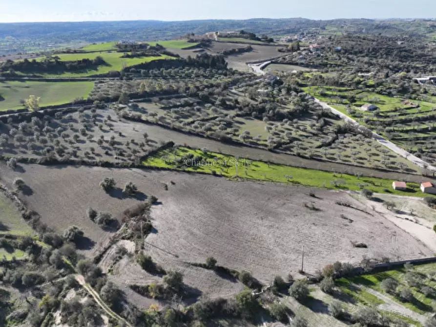 Immagine 3 di Terreno in vendita  a Ragusa