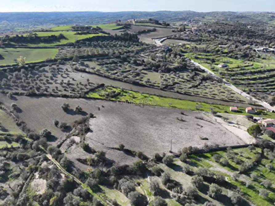 Immagine 4 di Terreno in vendita  a Ragusa