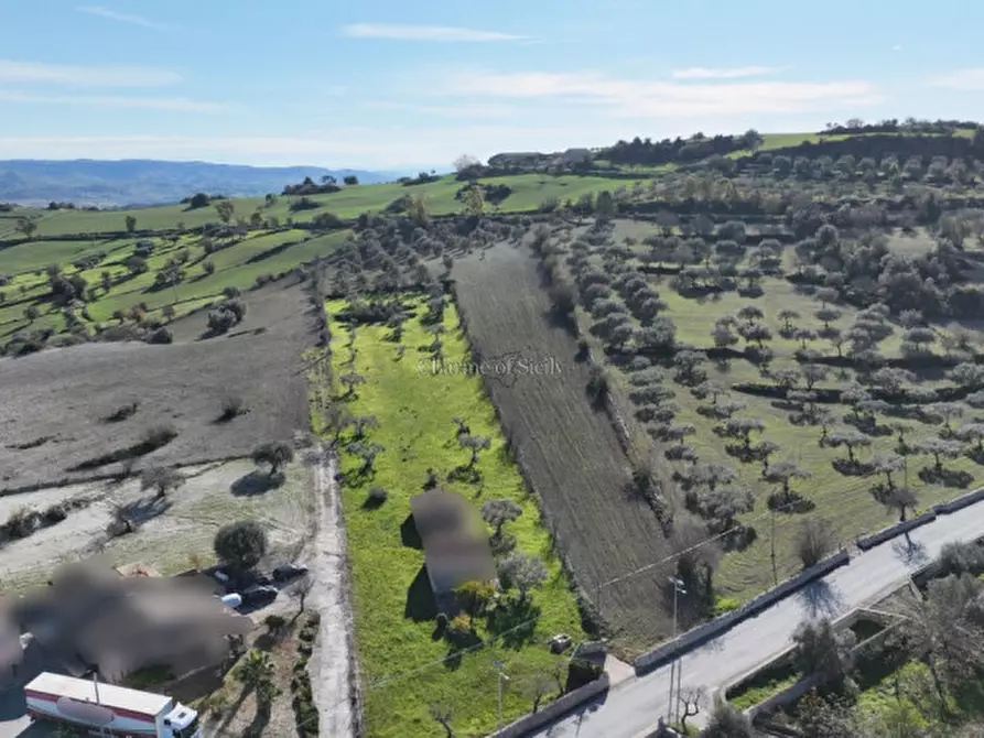 Immagine 5 di Terreno in vendita  a Ragusa