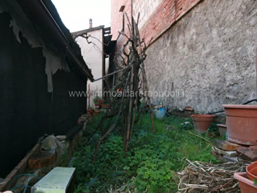 Immagine 14 di Appartamento in vendita  a Sinalunga