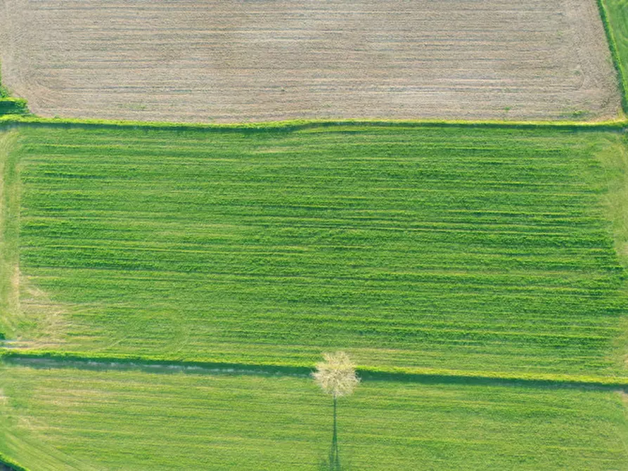 Immagine 3 di Terreno in vendita  in Strada Castellana a Bozzolo