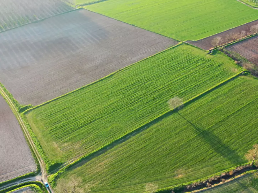 Immagine 4 di Terreno in vendita  in Strada Castellana a Bozzolo
