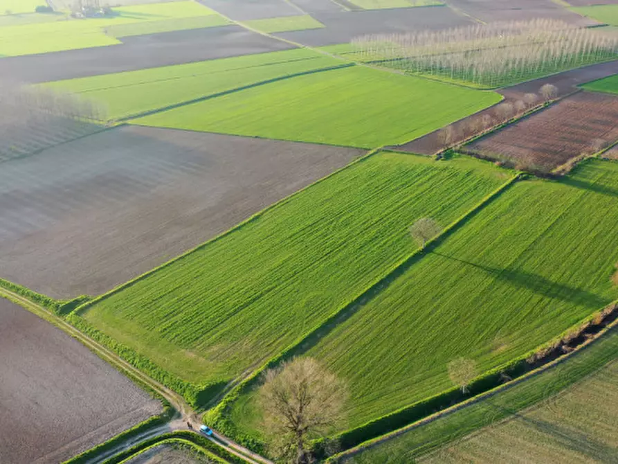 Immagine 5 di Terreno in vendita  in Strada Castellana a Bozzolo