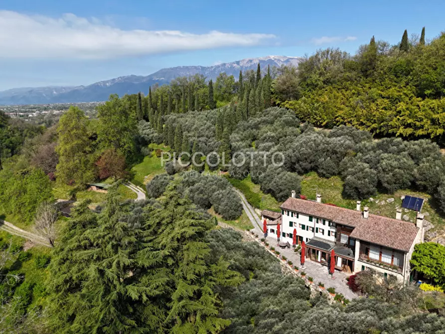 Immagine 2 di Villa in vendita  in via Monte dei Frati a Asolo