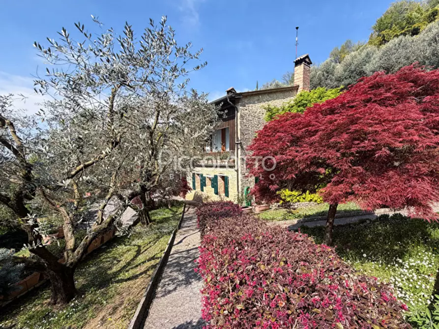 Immagine 15 di Villa in vendita  in via Monte dei Frati a Asolo