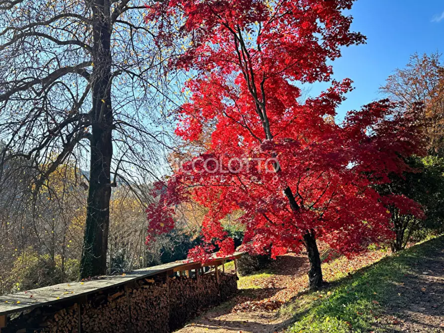 Immagine 25 di Villa in vendita  in via Monte dei Frati a Asolo