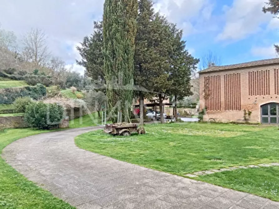 Immagine 5 di Rustico / casale in vendita  a Montaione