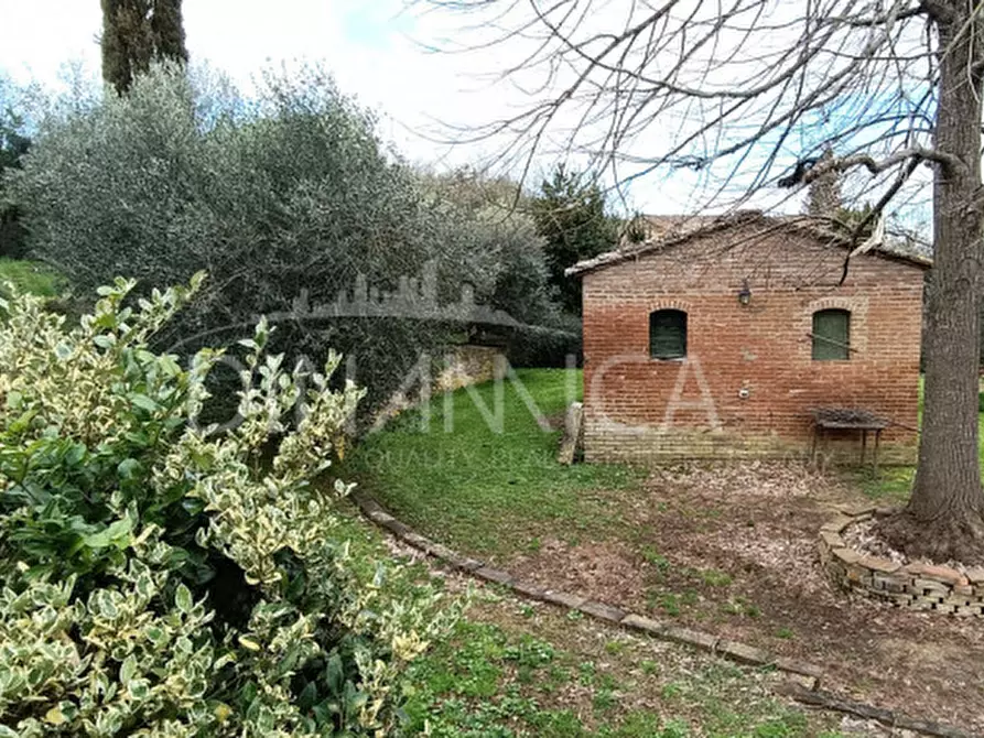 Immagine 8 di Rustico / casale in vendita  a Montaione