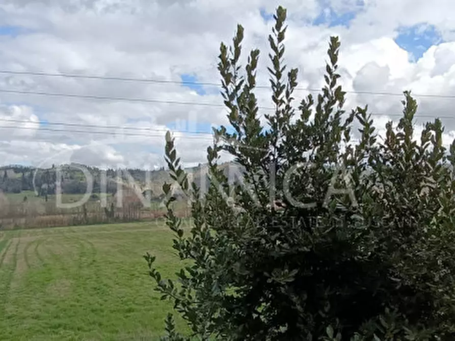 Immagine 37 di Rustico / casale in vendita  a Montaione