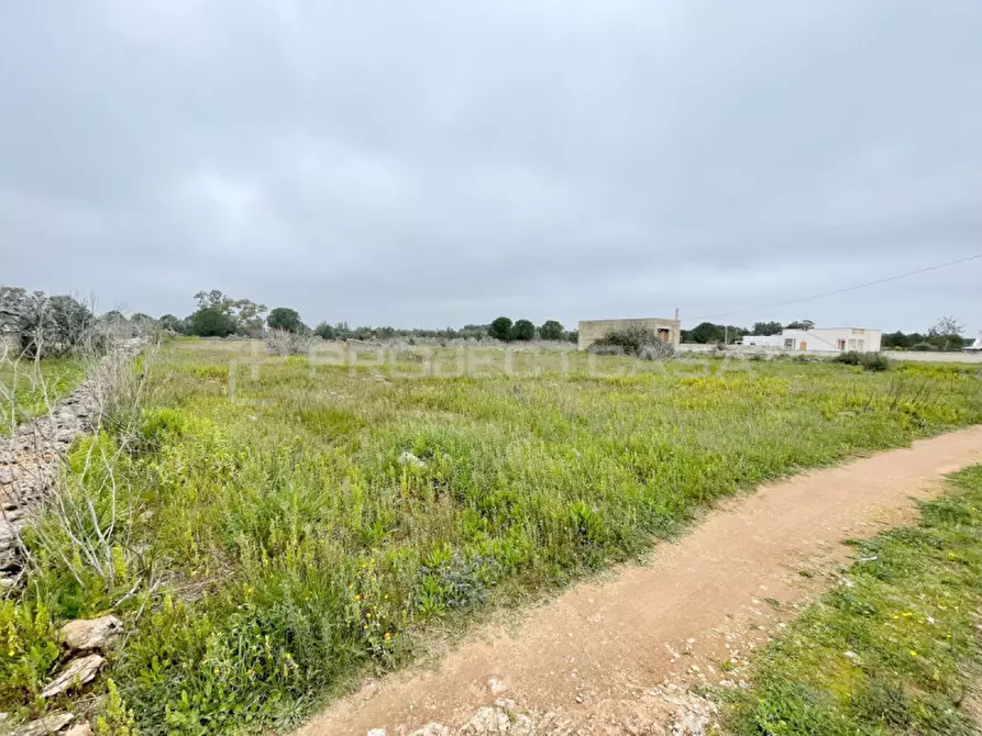 Immagine 2 di Terreno in vendita  in località Carottata a Scorrano