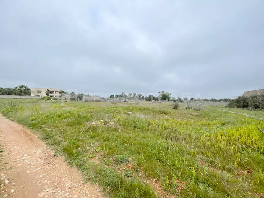 Immagine 3 di Terreno in vendita  in località Carottata a Scorrano