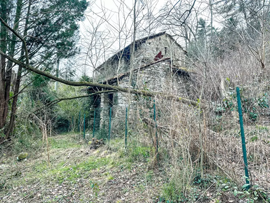 Immagine 11 di Rustico / casale in vendita  in via alla trinità a Ghiffa