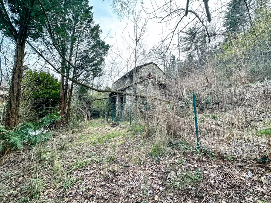 Immagine 12 di Rustico / casale in vendita  in via alla trinità a Ghiffa