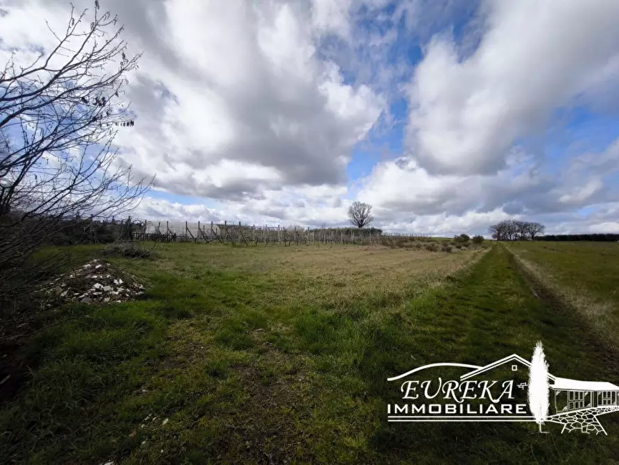 Immagine 9 di Villetta a schiera in vendita  in Località Carraia a Castiglione Del Lago