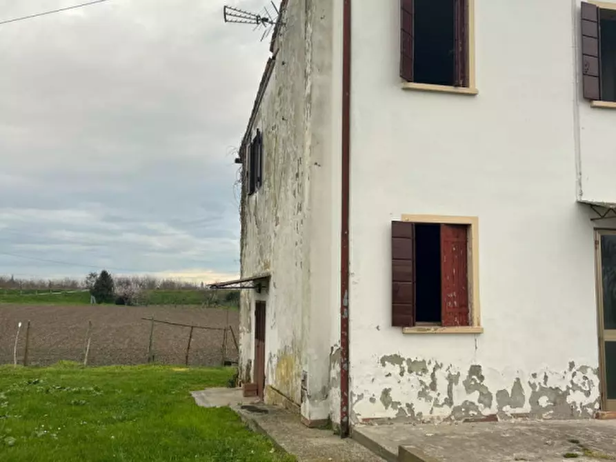 Immagine 1 di Casa bifamiliare in vendita  in Via Acquanera a Pernumia