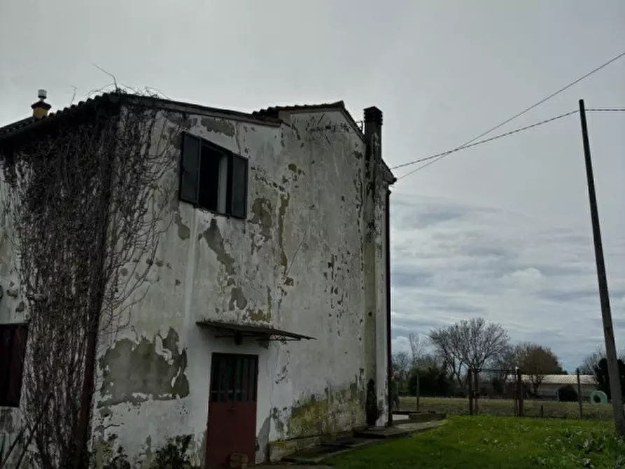Immagine 4 di Casa bifamiliare in vendita  in Via Acquanera a Pernumia