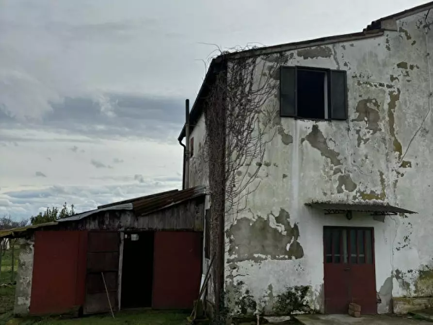 Immagine 5 di Casa bifamiliare in vendita  in Via Acquanera a Pernumia