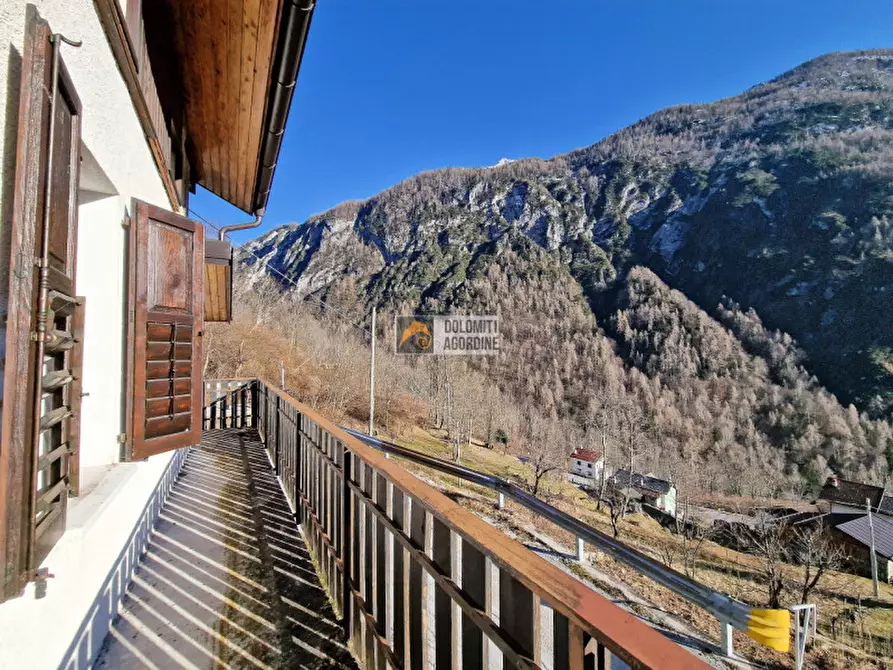 Immagine 8 di Casa bifamiliare in vendita  in Località Paganin a Gosaldo