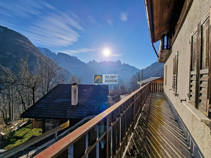 Immagine 9 di Casa bifamiliare in vendita  in Località Paganin a Gosaldo