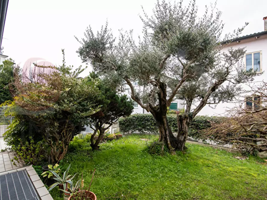 Immagine 18 di Casa bifamiliare in vendita  in Via Luigi Cadorna a Albignasego