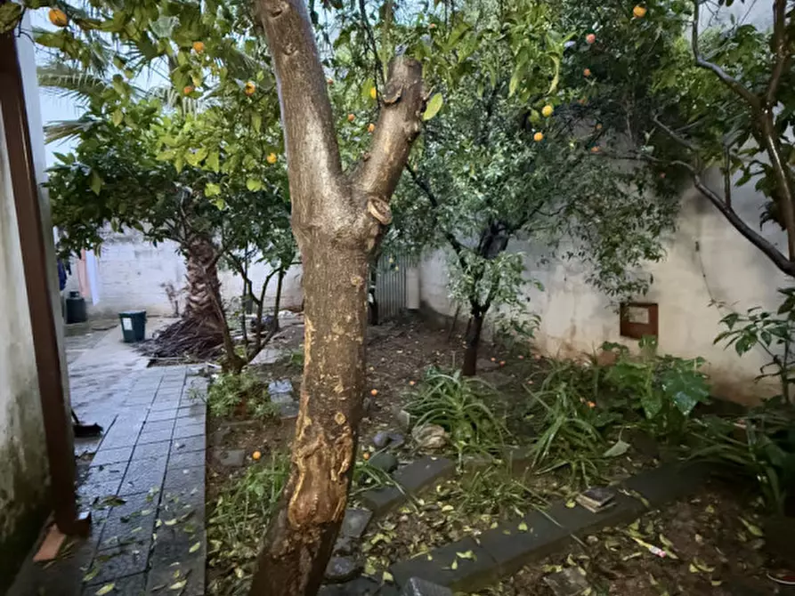 Immagine 10 di Appartamento in vendita  in Via Firenze a Sava