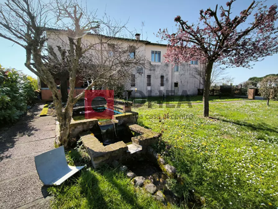 Immagine 24 di Appartamento in vendita  a San Biagio Di Callalta