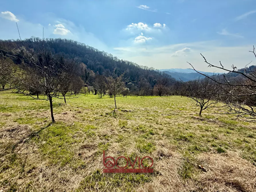 Immagine 2 di Terreno in vendita  in VIA RONCOLA a Rivalba