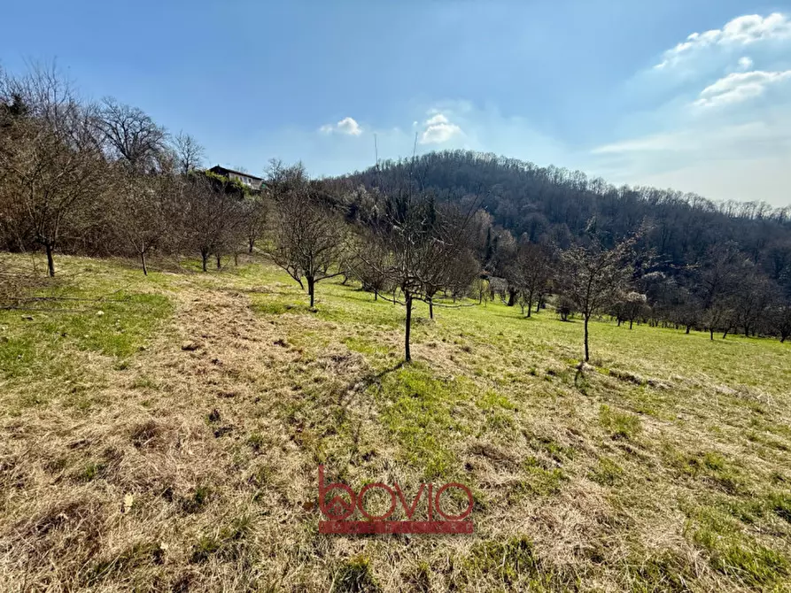 Immagine 3 di Terreno in vendita  in VIA RONCOLA a Rivalba