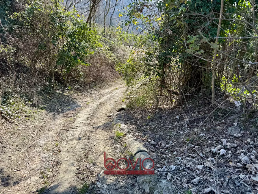 Immagine 5 di Terreno in vendita  in VIA RONCOLA a Rivalba