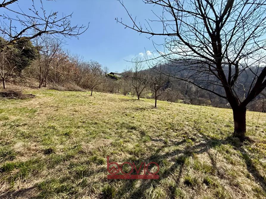 Immagine 7 di Terreno in vendita  in VIA RONCOLA a Rivalba