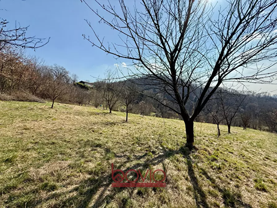 Immagine 8 di Terreno in vendita  in VIA RONCOLA a Rivalba