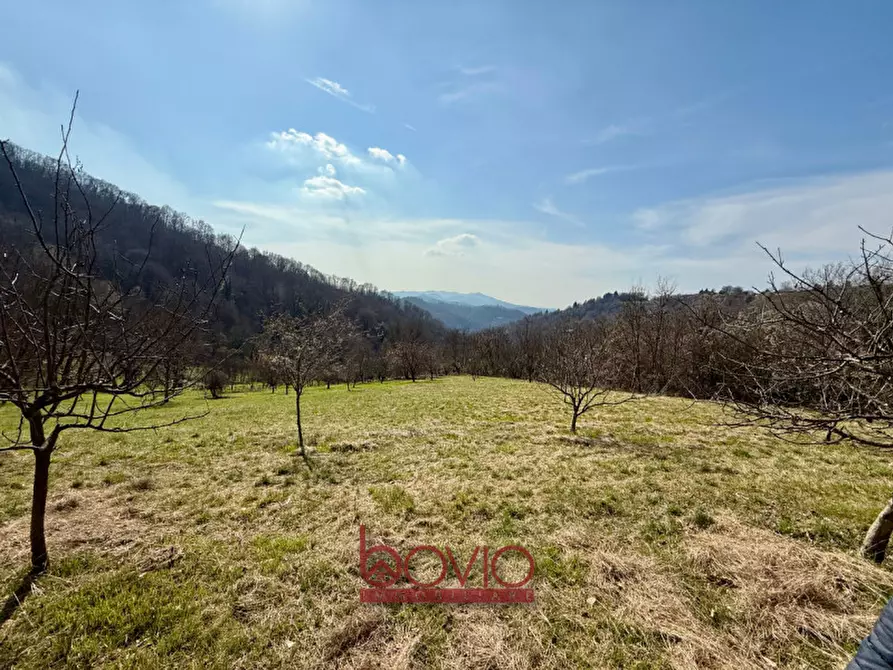 Immagine 9 di Terreno in vendita  in VIA RONCOLA a Rivalba