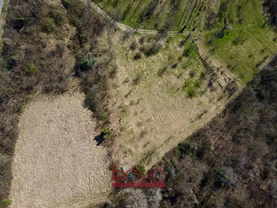 Immagine 12 di Terreno in vendita  in VIA RONCOLA a Rivalba