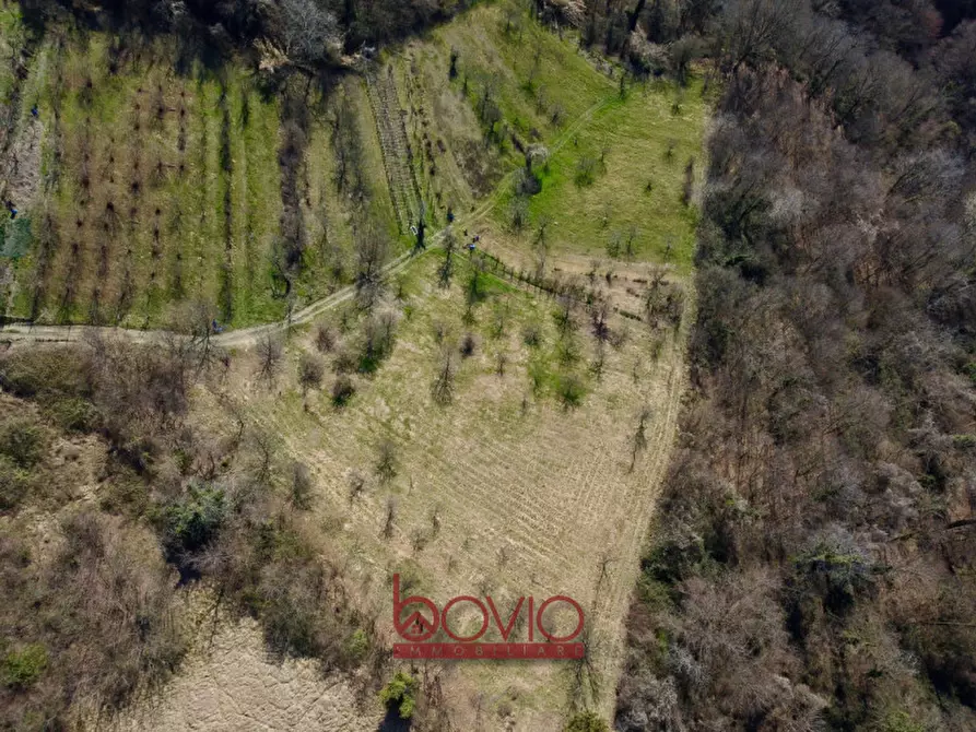Immagine 13 di Terreno in vendita  in VIA RONCOLA a Rivalba