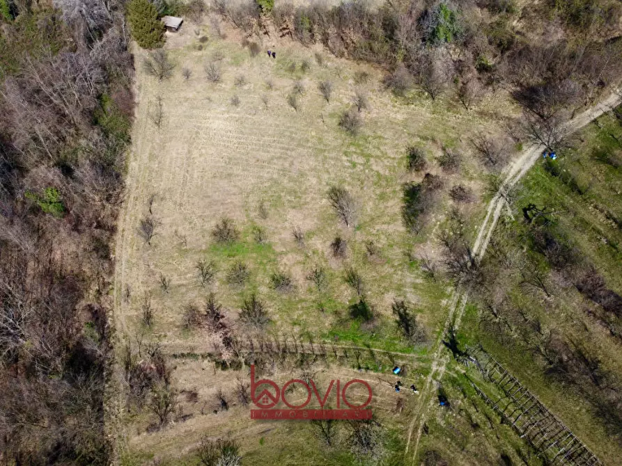 Immagine 17 di Terreno in vendita  in VIA RONCOLA a Rivalba