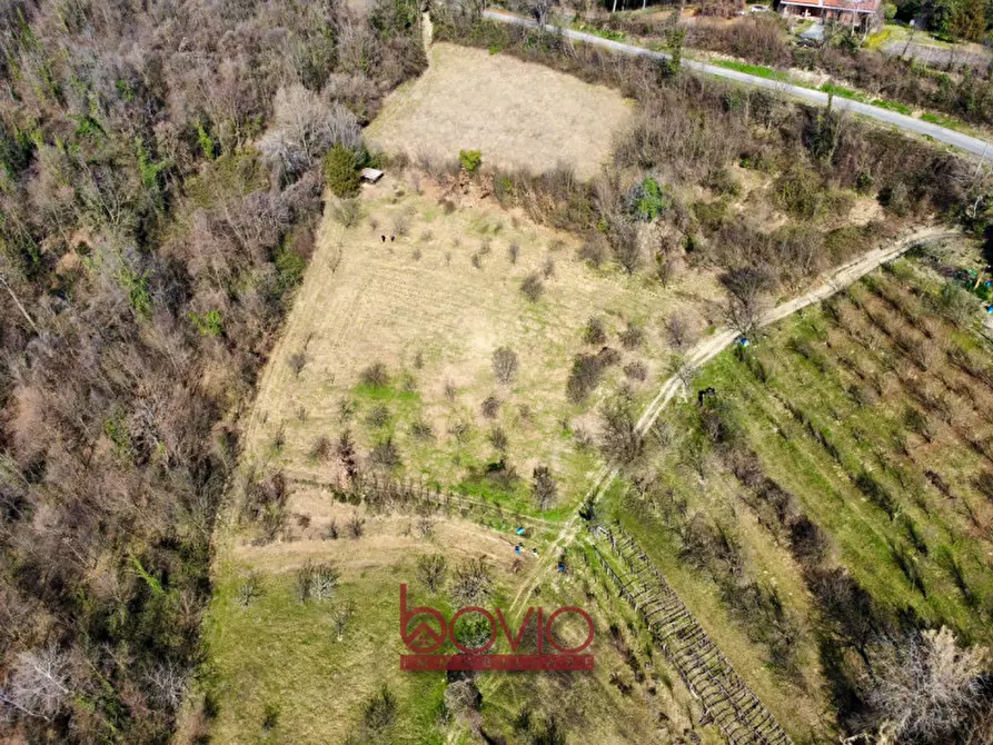 Immagine 27 di Terreno in vendita  in VIA RONCOLA a Rivalba