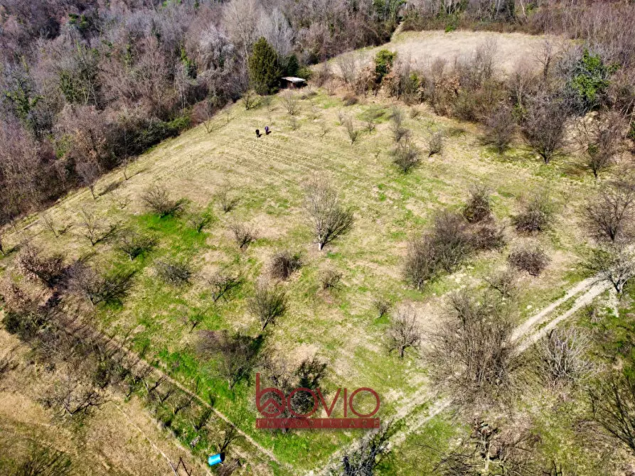 Immagine 30 di Terreno in vendita  in VIA RONCOLA a Rivalba