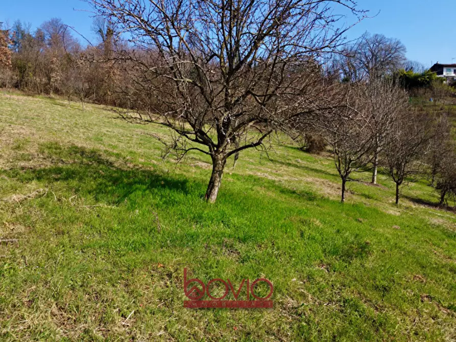 Immagine 35 di Terreno in vendita  in VIA RONCOLA a Rivalba