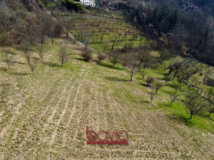 Immagine 38 di Terreno in vendita  in VIA RONCOLA a Rivalba
