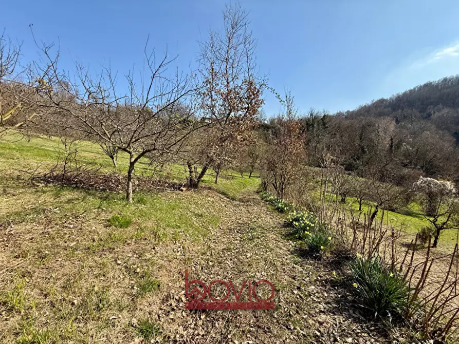 Immagine 42 di Terreno in vendita  in VIA RONCOLA a Rivalba