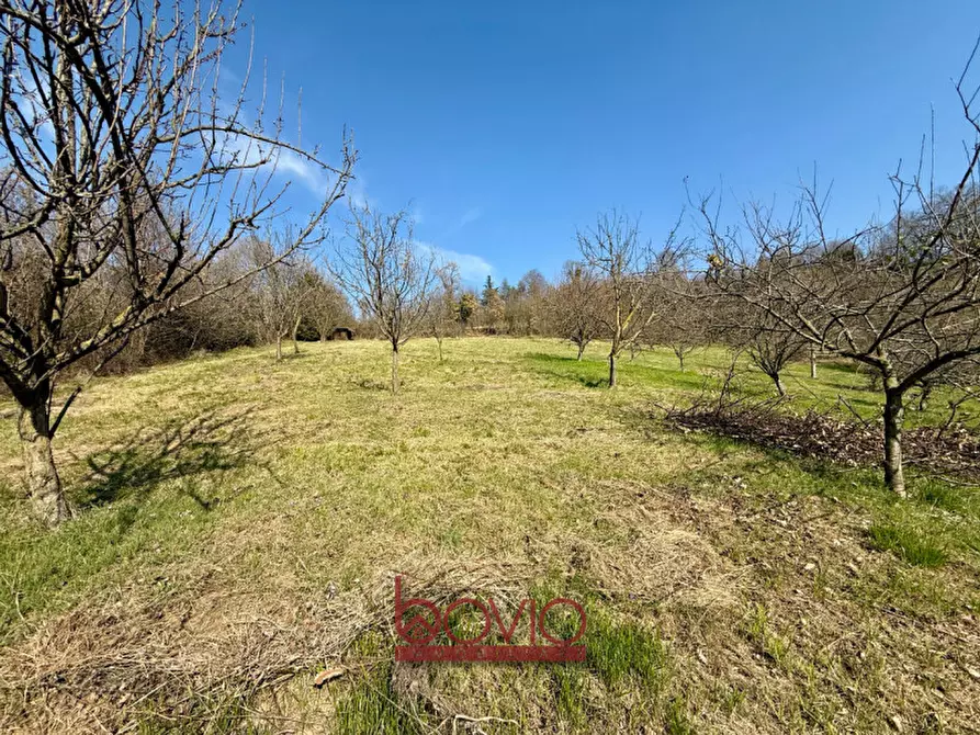 Immagine 43 di Terreno in vendita  in VIA RONCOLA a Rivalba