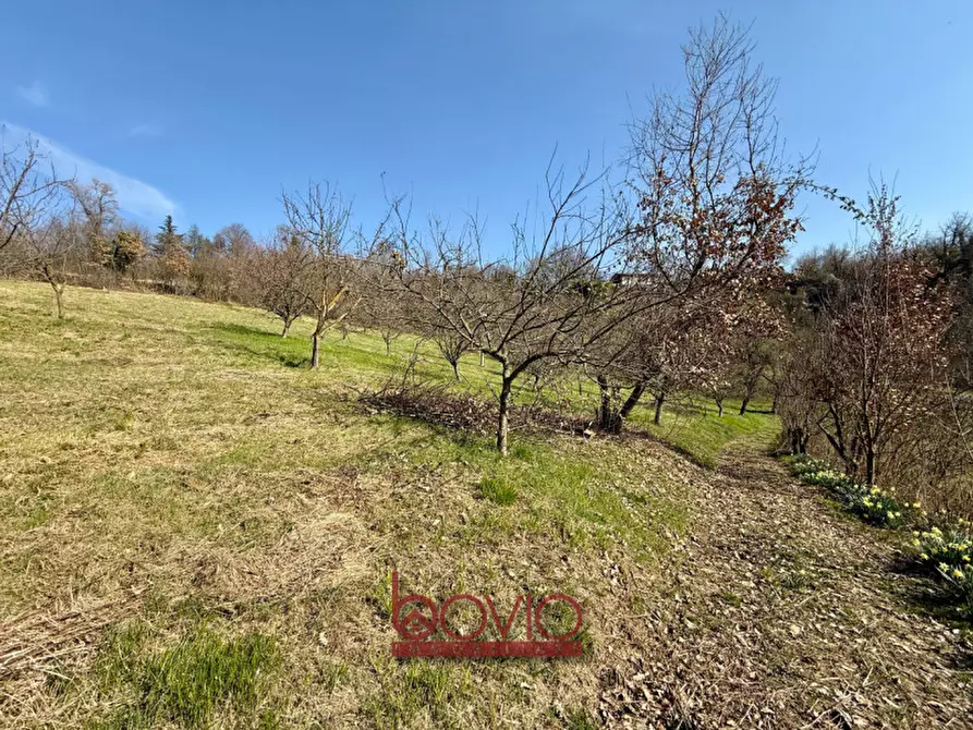 Immagine 44 di Terreno in vendita  in VIA RONCOLA a Rivalba
