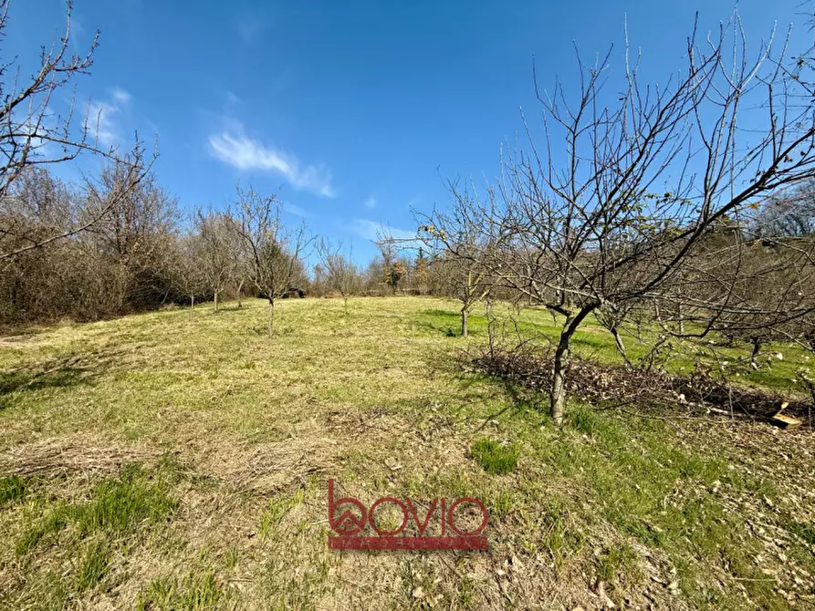 Immagine 45 di Terreno in vendita  in VIA RONCOLA a Rivalba